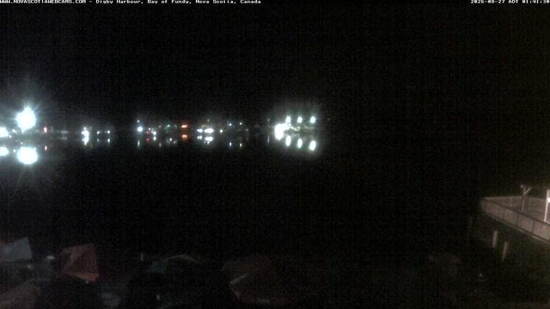 Digby Harbour