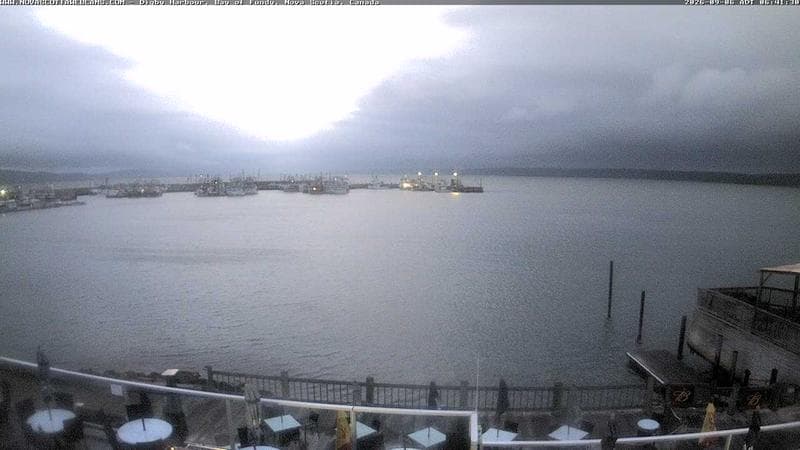 Digby Harbour