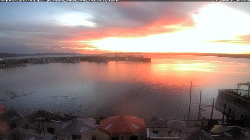 Digby Harbour