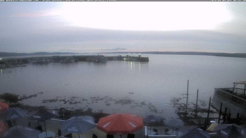 Digby Harbour