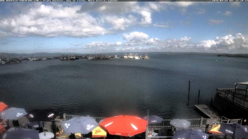 Digby Harbour
