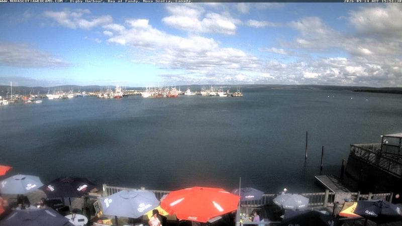 Digby Harbour