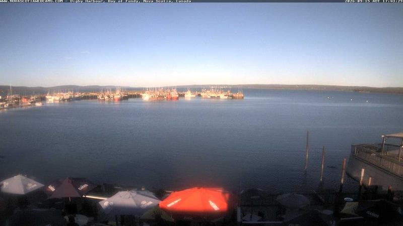 Digby Harbour