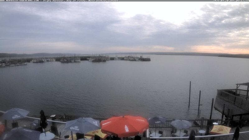 Digby Harbour