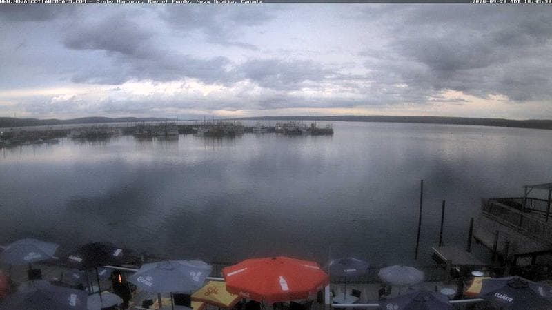 Digby Harbour