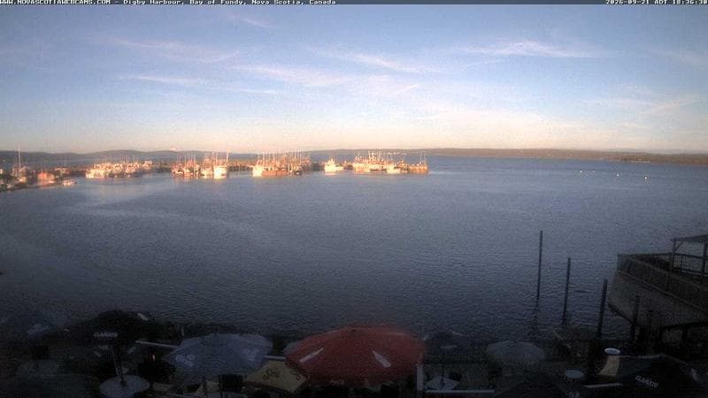 Digby Harbour
