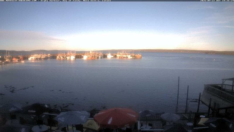 Digby Harbour