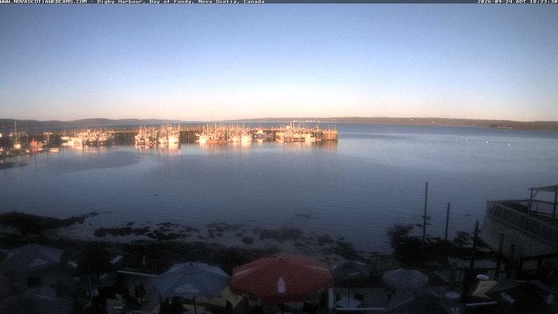 Digby Harbour