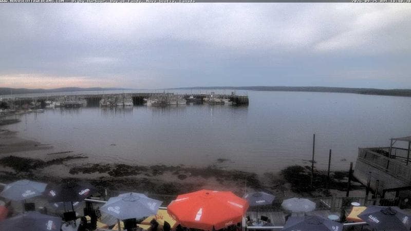 Digby Harbour