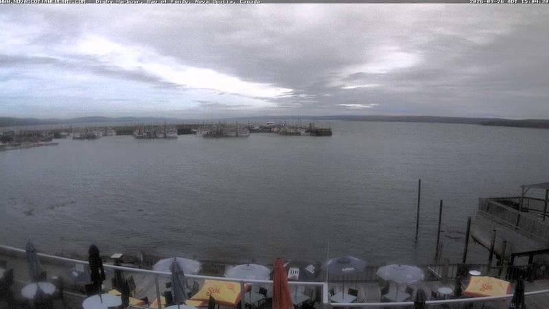 Digby Harbour