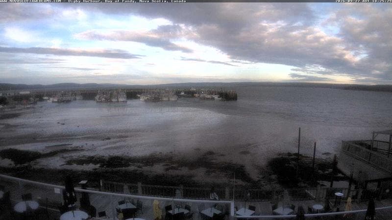 Digby Harbour