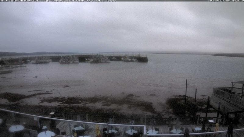 Digby Harbour
