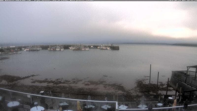 Digby Harbour