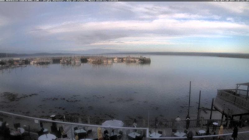 Digby Harbour