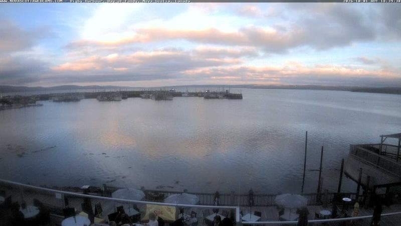 Digby Harbour