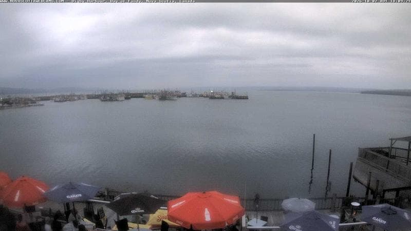 Digby Harbour