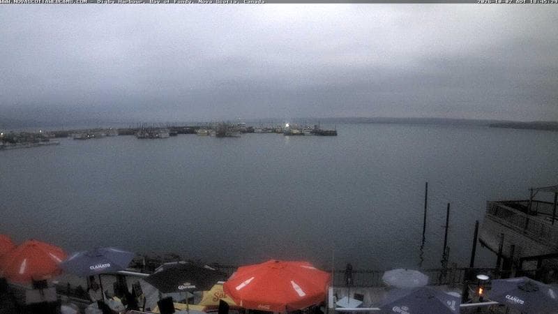 Digby Harbour