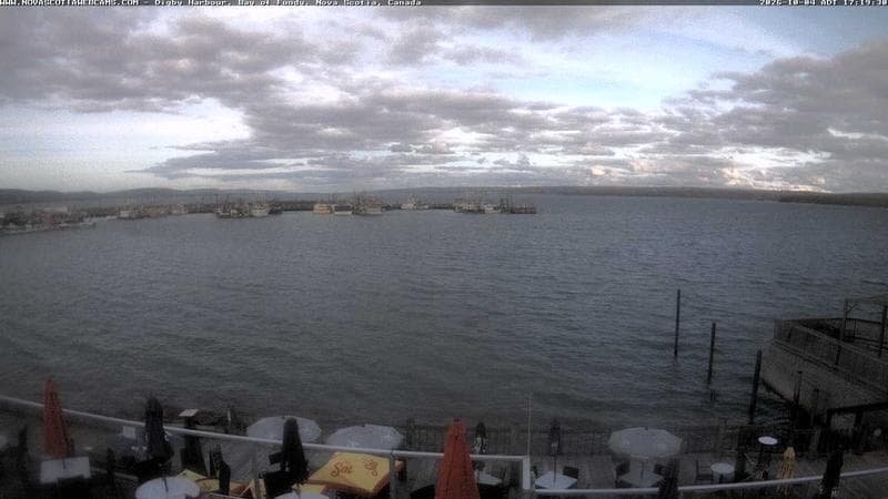 Digby Harbour