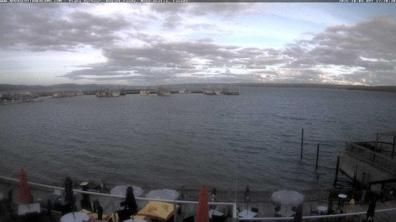 Digby Harbour