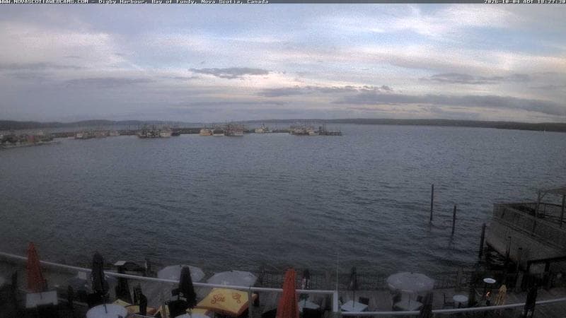 Digby Harbour