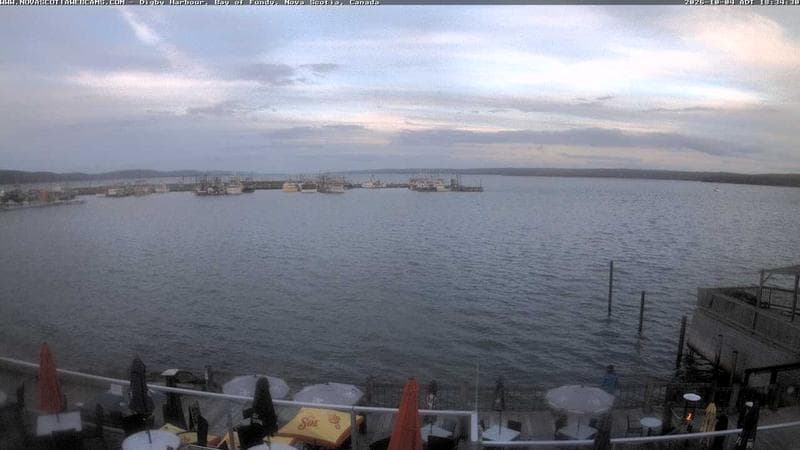 Digby Harbour
