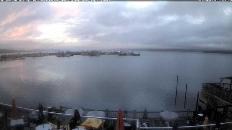 Digby Harbour