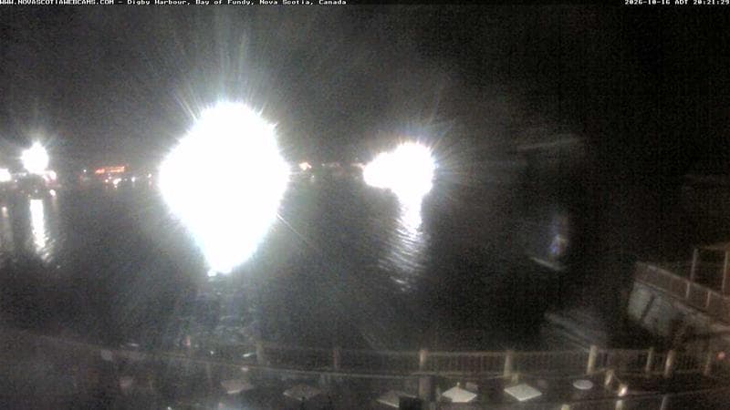 Digby Harbour
