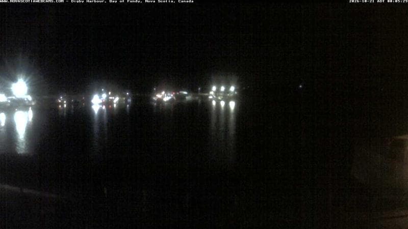 Digby Harbour