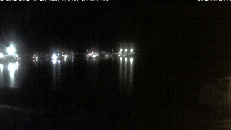 Digby Harbour
