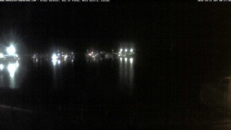 Digby Harbour