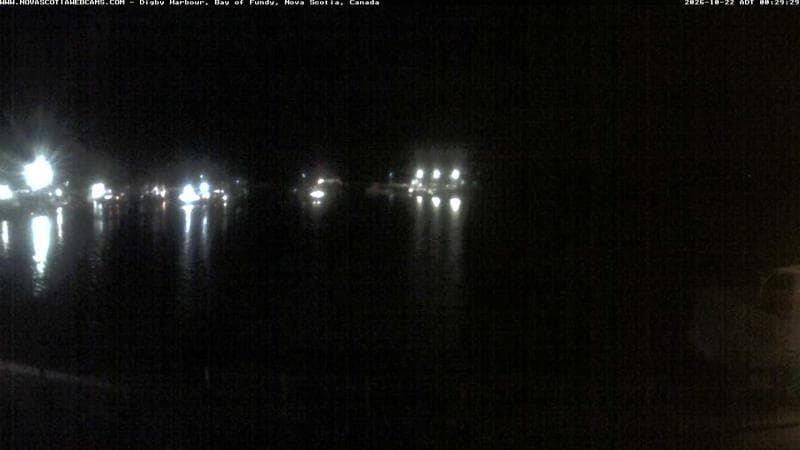 Digby Harbour