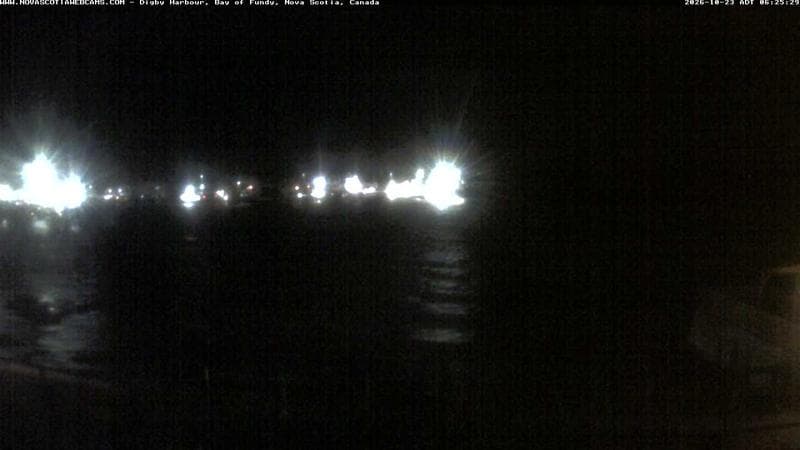 Digby Harbour