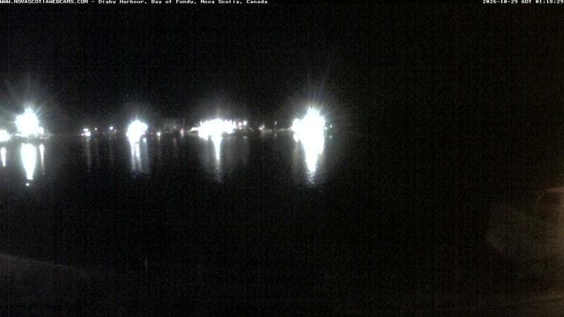 Digby Harbour