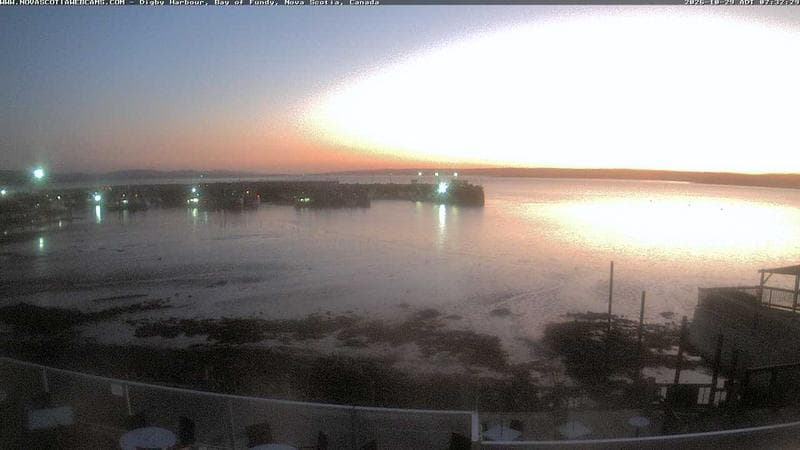 Digby Harbour