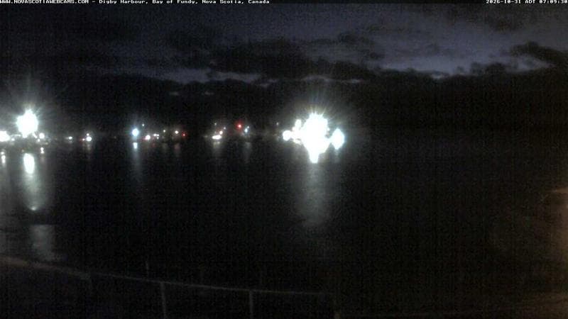 Digby Harbour