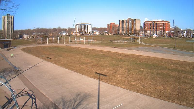 Emera Oval