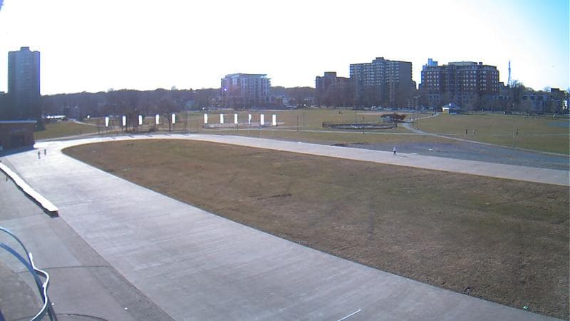 Emera Oval