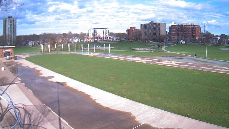 Emera Oval