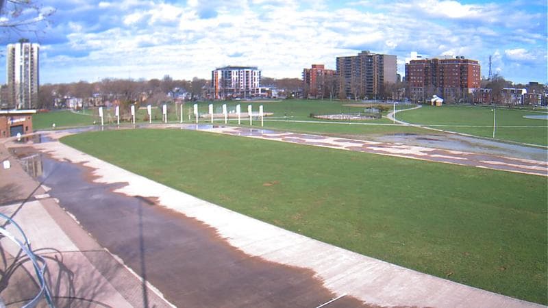 Emera Oval