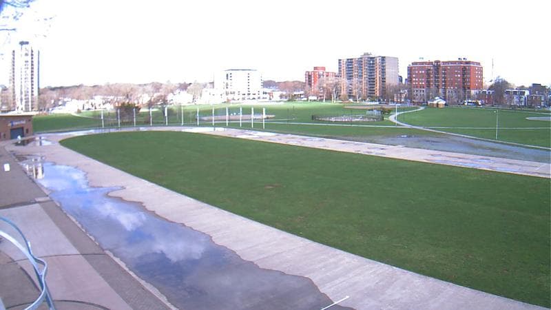 Emera Oval