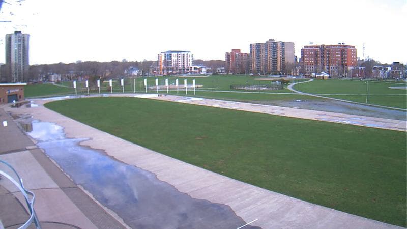 Emera Oval