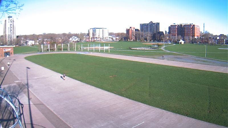 Emera Oval