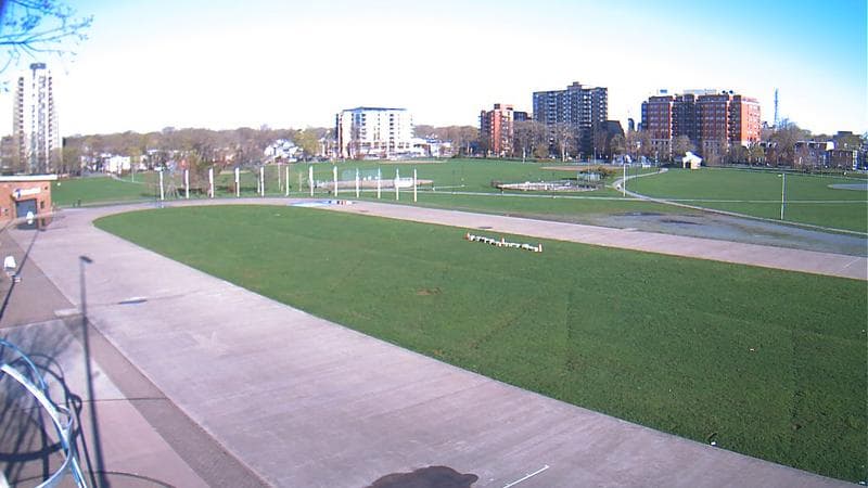 Emera Oval