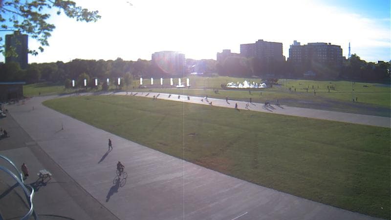 Emera Oval