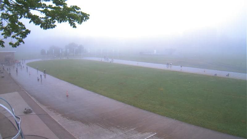 Emera Oval