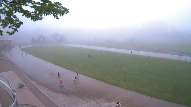 Emera Oval