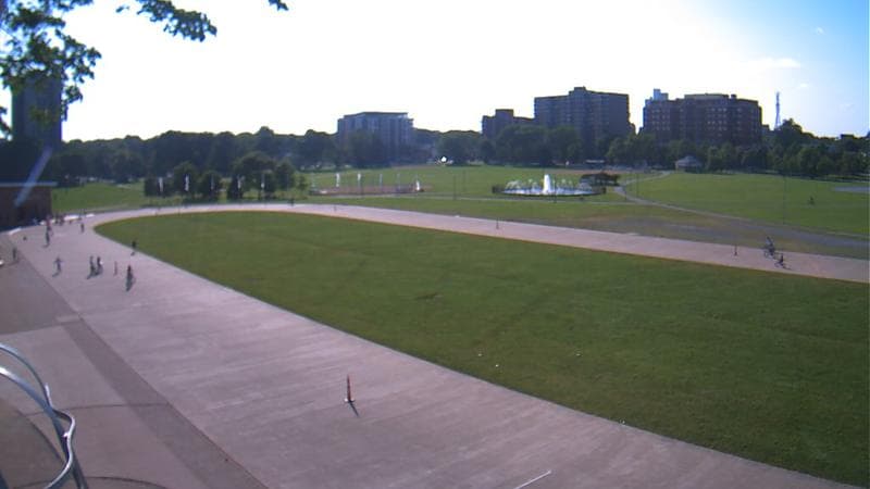 Emera Oval