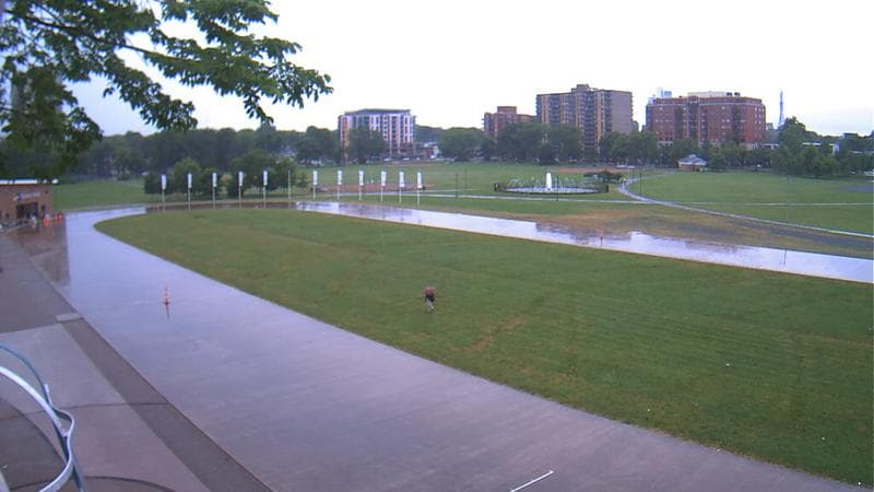 Emera Oval