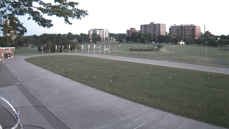 Emera Oval