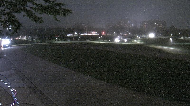 Emera Oval